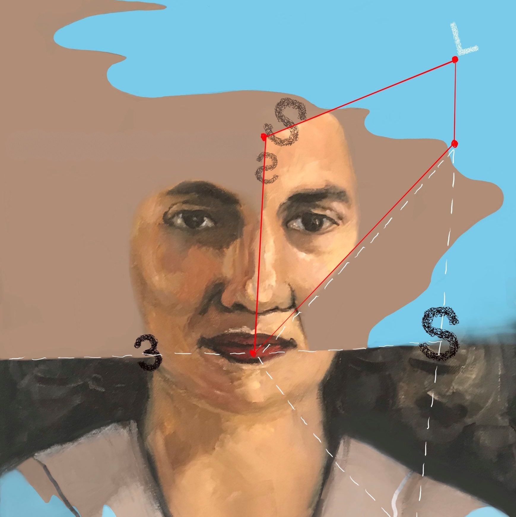 Obra d'art de Silvia Wagensberg